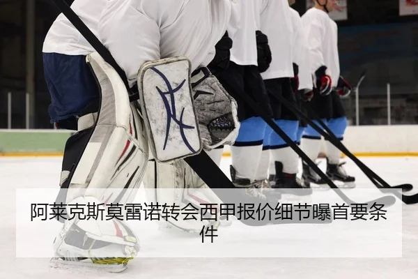 a-lai-ke-si-mo-lei-nuo-zhuan-hui-xi-jia-bao-jia-xi-jie-pu-shou-yao-tiao-jian-2-309.jpg